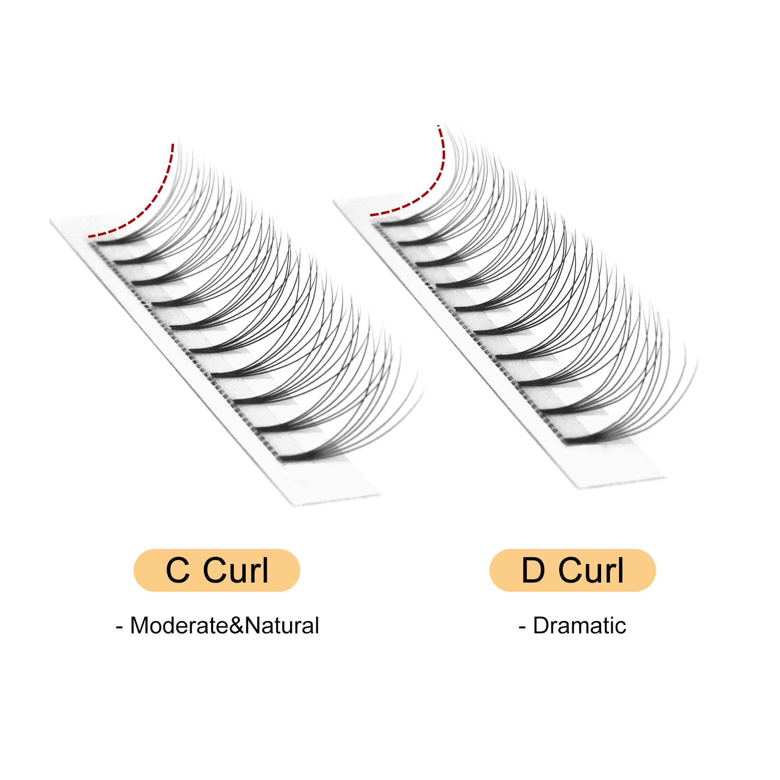 Quewel Premade Fans Lashes 8D/ - đánh giá và giá Eyelash Extension C Curl