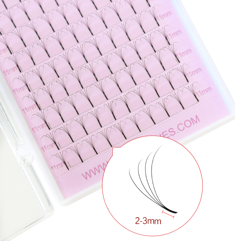 SONGLASHES Dài Tận Gốc 2D Để 6 - đánh giá và giá Eyelash Extension Fan