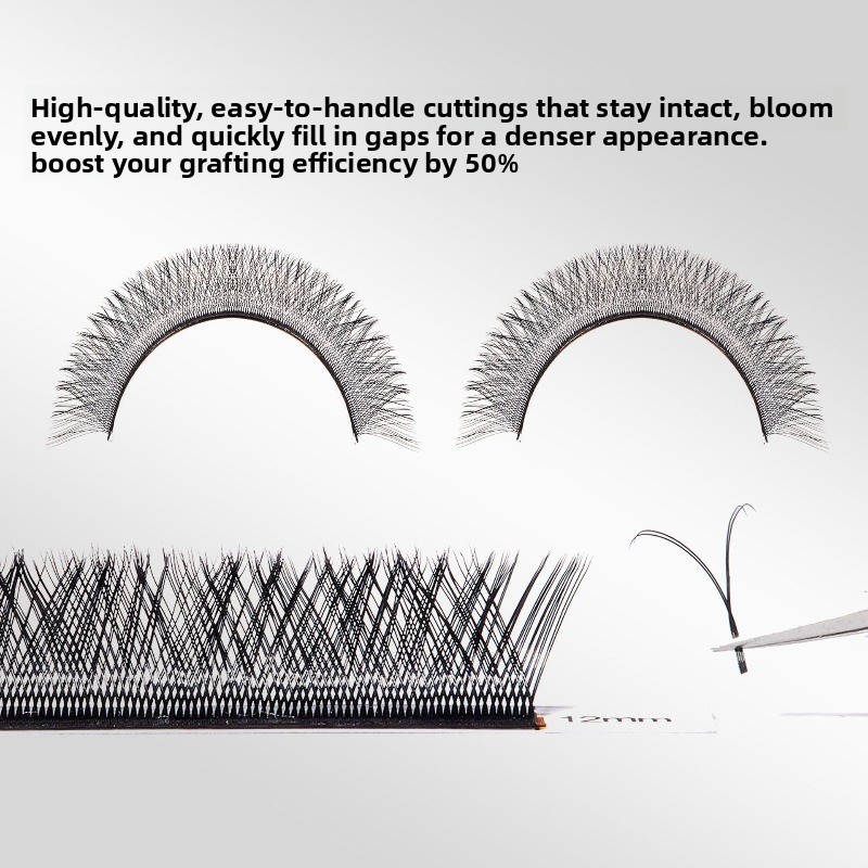 YY Shape Black Brown Eyelashes - đánh giá và giá Eyelash Extension C Curl