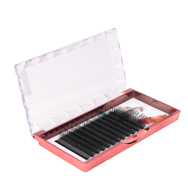 MARIA 10 Cases 4D W Shaped Bea - đánh giá và giá Eyelash Extension Fan