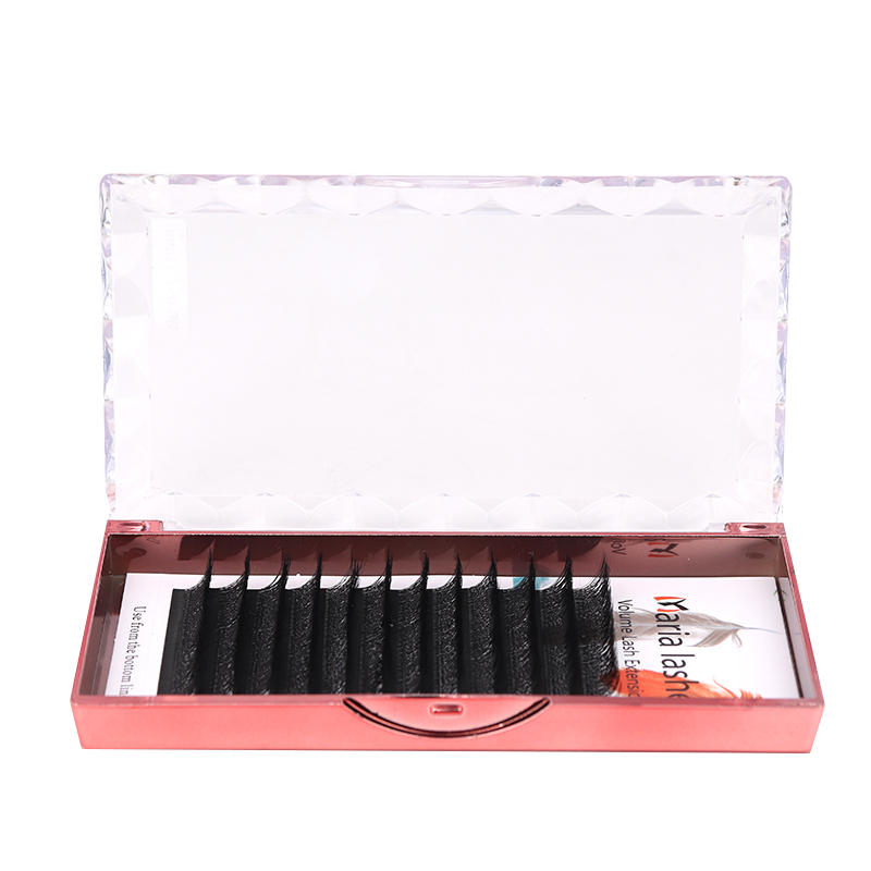 MARIA 10 Cases 4D W Shaped Bea - đánh giá và giá Eyelash Extension Fan
